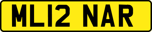 ML12NAR