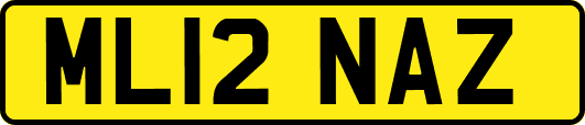ML12NAZ