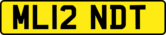 ML12NDT