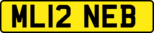 ML12NEB