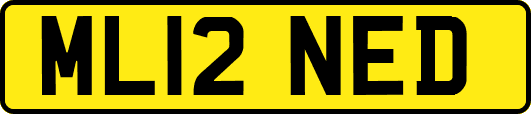 ML12NED