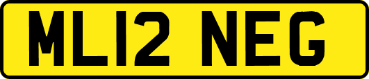 ML12NEG