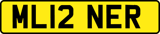 ML12NER