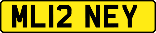 ML12NEY
