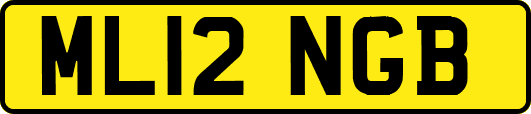 ML12NGB