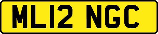 ML12NGC