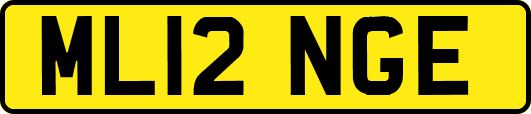 ML12NGE