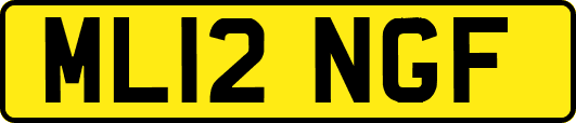 ML12NGF