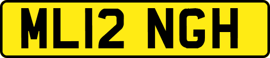 ML12NGH