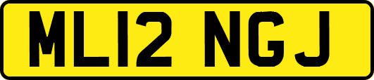 ML12NGJ