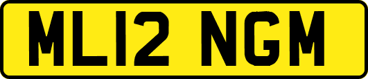 ML12NGM