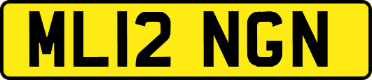 ML12NGN
