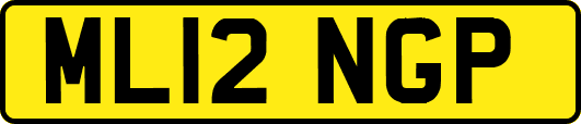 ML12NGP