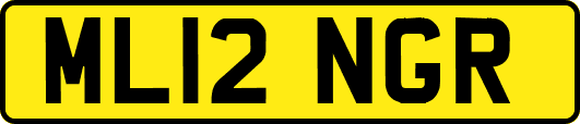 ML12NGR