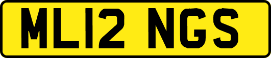 ML12NGS