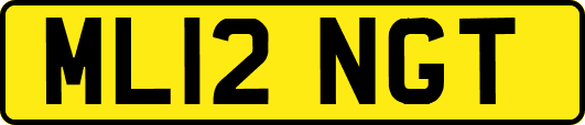 ML12NGT