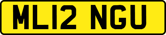 ML12NGU
