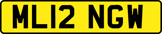 ML12NGW