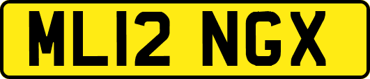 ML12NGX