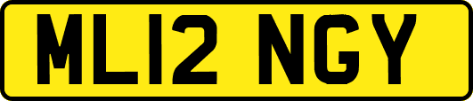ML12NGY