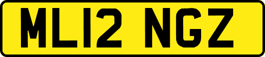 ML12NGZ