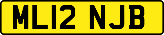 ML12NJB