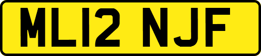 ML12NJF