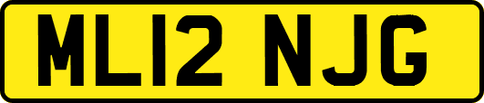ML12NJG
