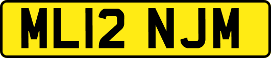 ML12NJM