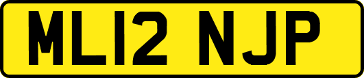 ML12NJP