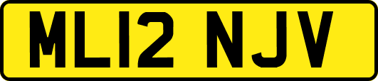 ML12NJV