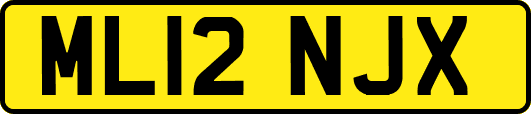 ML12NJX