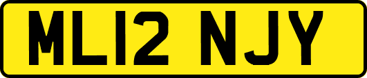 ML12NJY