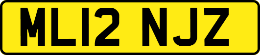 ML12NJZ