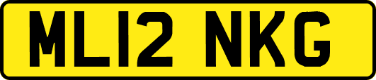 ML12NKG