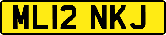 ML12NKJ