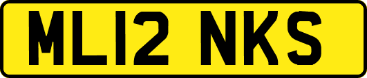 ML12NKS