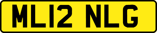 ML12NLG