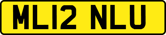 ML12NLU