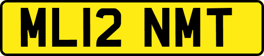 ML12NMT