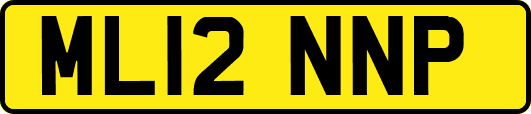 ML12NNP