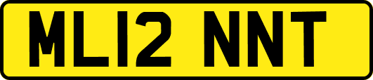 ML12NNT