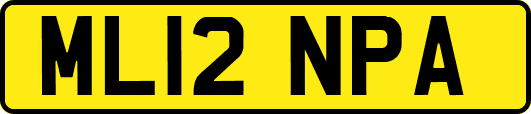 ML12NPA