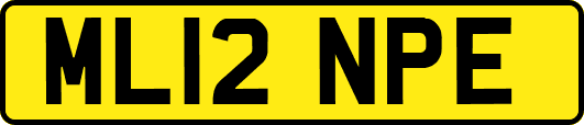 ML12NPE