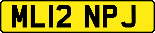 ML12NPJ