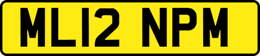 ML12NPM