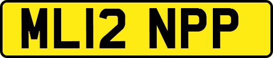 ML12NPP