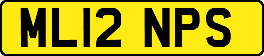 ML12NPS