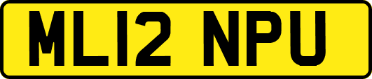 ML12NPU