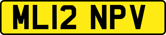 ML12NPV